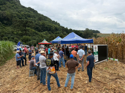 Dia de Campo na Propriedade do Produtor da Coopervil Jorge Borga: