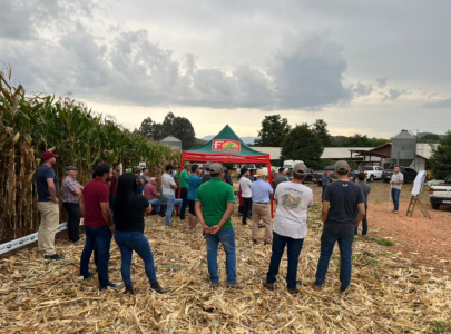 Dia de Campo na propriedade do produtor Walmir e Matheus Bortoloso em Videira/SC.