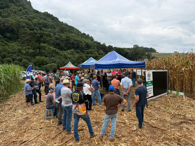 Dia de Campo na Propriedade do Produtor da Coopervil Jorge Borga: