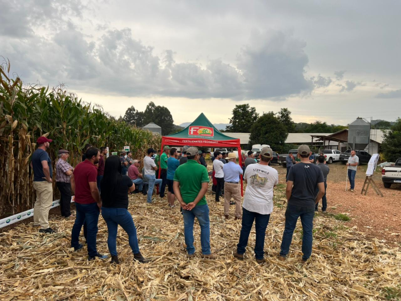 Dia de Campo na propriedade do produtor Walmir e Matheus Bortoloso em Videira/SC.