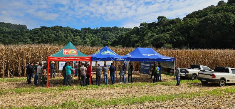 Dia de Campo na Propriedade do Produtor Gilvan Zortéa.