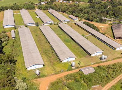 Unidade Suinocultura - Gramados